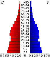 Väestöpyramidi  