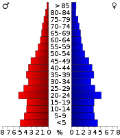 Bevolkingspiramide  