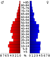 Pirámide de población  