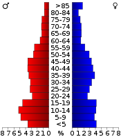 Bevolkingspiramide  
