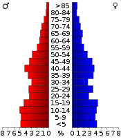 Pirámide de población  
