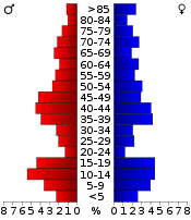 Väestöpyramidi  