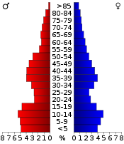 Pirámide de población  
