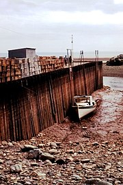 Fundy-bugten ved lavvande