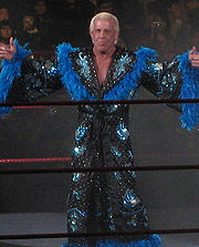Ric Flair, Shawn Michaels'a karşı bir maçta kariyerini tehlikeye attı.