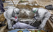 Pe 28 iunie, peste 500.000 de persoane au murit din cauza COVID-19 în timpul pandemiei mondiale  