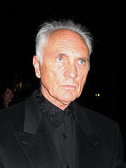Timbro nel gennaio 2009
