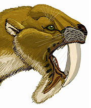Саблезъбият "торбест" †Thylacosmilus