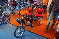 Tandem trike Fun2Go by Van Raam