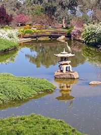 Una garzetta riposa su una lanterna di pietra nel lago superiore del Cowra Japanese Garden