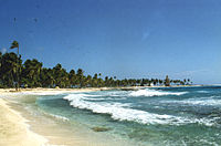 Pláž na Half Moon Caye, jednom z mnoha ostrovů v Belize.