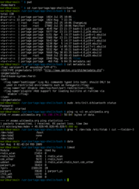 Una shell Unix, in questo caso una shell Linux (clicca per ingrandire)