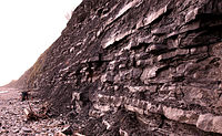 Acantilados de Blue Lias en Lyme Regis, Dorset