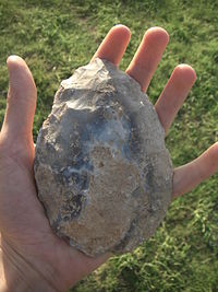 Um das centenas de handaxes encontrados em Boxgrove