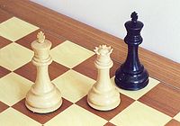 Der schwarze König wurde schachmatt gesetzt; die Partie ist beendet.