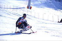 Sitting skier skiing downhill