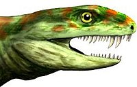 Eothyris , ankstyvasis synapsidas su daugybe kandžių.