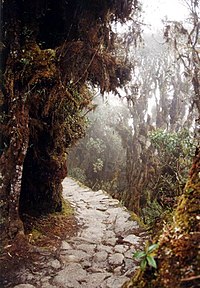 Szlakiem Inków do Machu Pichu.