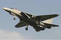 Un F-14 Tomcat.  