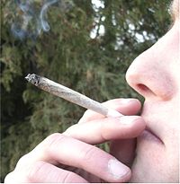 A "joint"