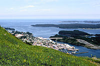 Kodiak