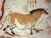 En hest, fra Lascaux-hulen i Frankrig, ca. 16.000 år gammel