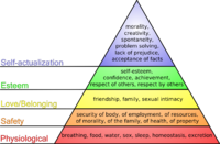 Maslowova hierarchie lidských potřeb. Jedná se o příklad hierarchie vizualizované pomocí trojúhelníkového diagramu.