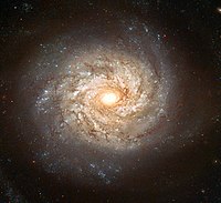 Spiralgalaxie NGC 3982, mit blauen Haufen und dunklen Regionen. Sie können diese Galaxie mit einem kleinen Teleskop im Sternbild Ursa Major sehen