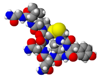 En computermodel af et oxytocin-molekyle