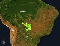 南米にあるパンタナールの位置が強調されています。ブラジルを中心に、ボリビア、パラグアイにも分布している。