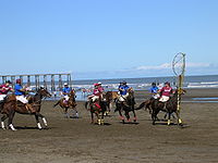 Una partita di pato a Monte Hermoso, Argentina.