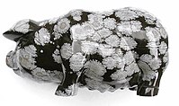 Varken gesneden in sneeuwvlok obsidiaan, 10 centimeter lang. De markeringen zijn sferulieten.  