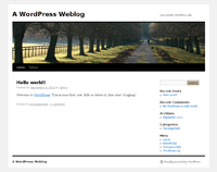 WordPress, un ejemplo de software para blogs.