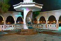 Assassinato de Selena