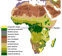 Afrikan biomit  