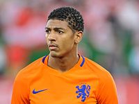 Van Aanholt hraje za nizozemskou fotbalovou reprezentaci.