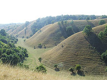 Sand dunes of Deliblatska Peščara