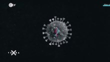 Play media file Video: What are viruses?