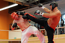German Open 2010