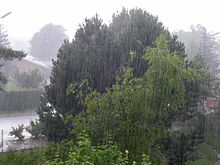 Regn falder
