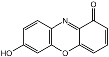 Chemische structuur van 7-hydroxyfenoxazon, de chromofoor van lakmoescomponenten