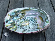 Suprafața interioară iridescentă a unei cochilii de abalone