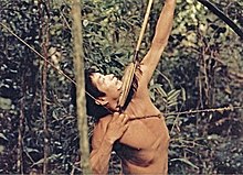 An Aché during the hunt