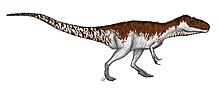 Levensherstel van A. abakensis