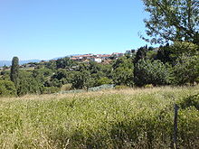 Typical landscape on the island