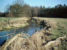 The Schnelle Havel, the non-navigable old Havel, at Schweitzerhütte north of Oranienburg-Friedrichsthal