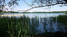 Lake Knielingen, a quarry pond in the Burgau and Altrhein Maxau nature reserves