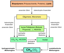 Overview of the anaerobic utilization of polymeric substrates and lipids