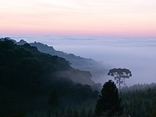 Dawn near Caçador