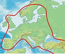 Range of the European roe deer